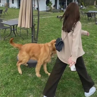 猎人们